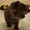 Шотландские плюшевые вислоухие котята - Изображение #1, Объявление #136031