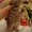 Шотландские плюшевые вислоухие котята - Изображение #5, Объявление #136031
