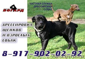 Дрессировка собак в Татарстане - Изображение #3, Объявление #188656
