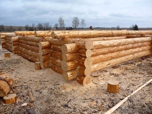 Изготовление срубов деревянных домов и срубов бань - Изображение #2, Объявление #514370